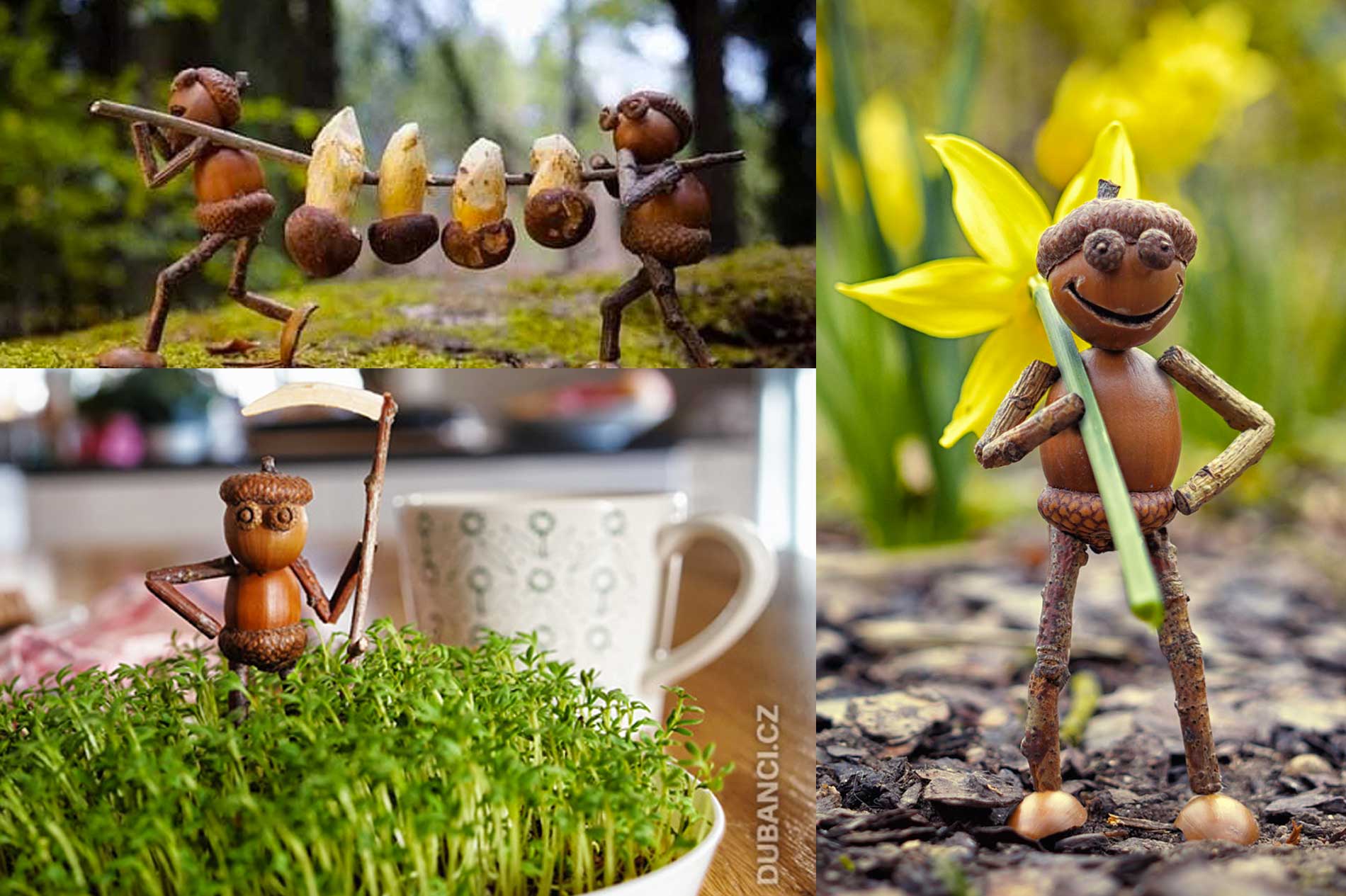 partager des graines