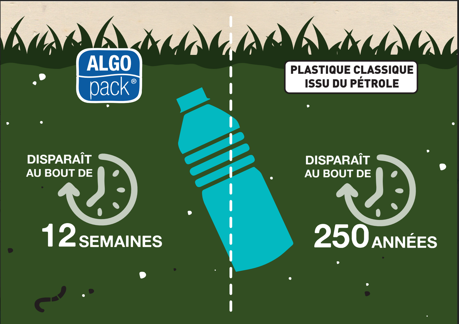 algopack biodegradable