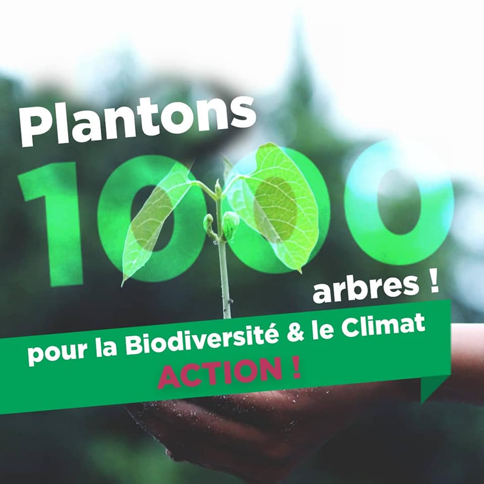 plantons1000arbrespourlabiodiversite